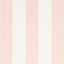 Schumacher Edwin Stripe Wide Petal Wallpaper