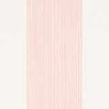 Schumacher Edwin Stripe Wide Petal Wallpaper