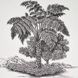 Schumacher Toussaint Toile Black On Ivory Wallpaper