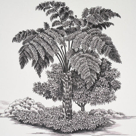 Schumacher Toussaint Toile Black On Ivory Wallpaper