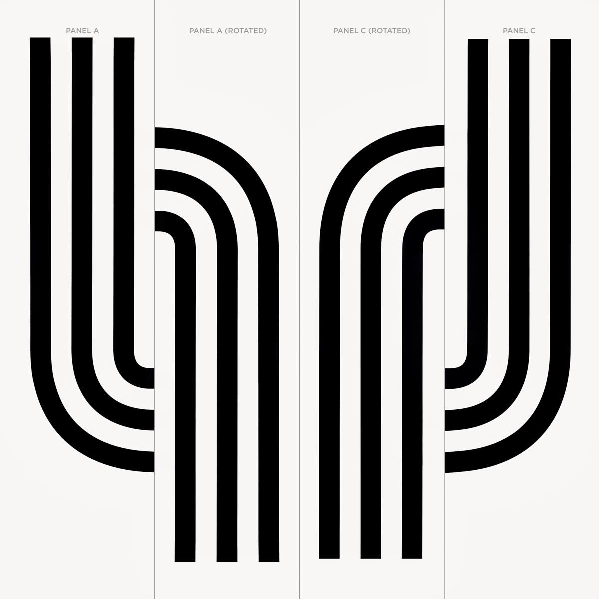 Schumacher Virginia Panel C Black Wallpaper