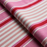 Schumacher Minzer Cotton Stripe Pink Fabric