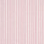 Schumacher Jack Stripe Pink Fabric