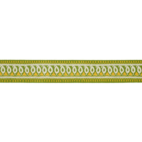 Schumacher Paisley Embroidered Tape Green & Yellow Trim
