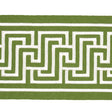 Schumacher Green Labyrinth Tape