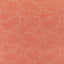Kravet WYLDER CORAL Upholstery Fabric