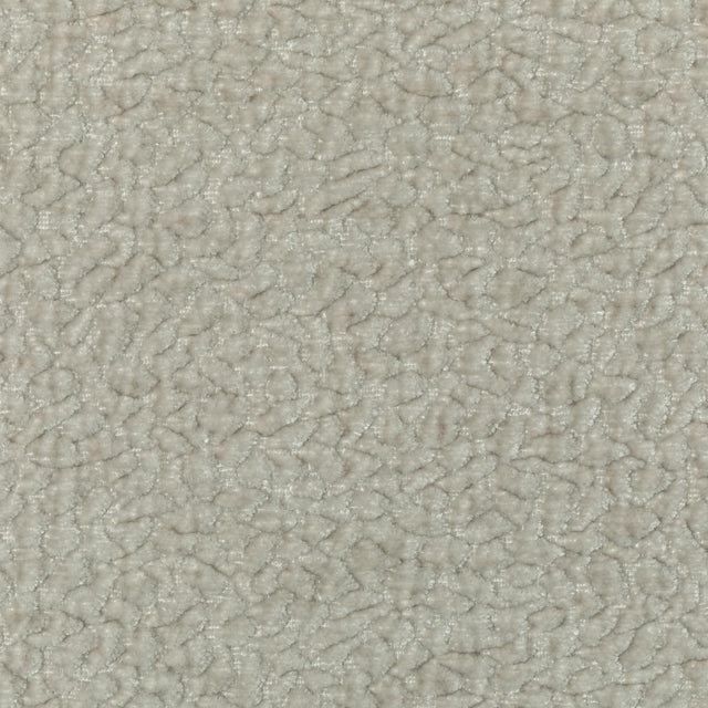 Kravet COUTURE 36596 111 Upholstery Fabric