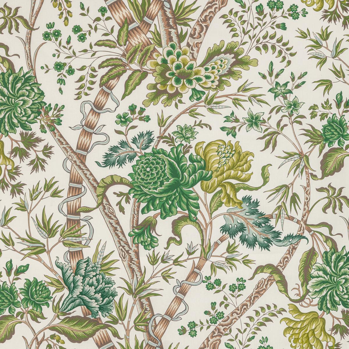 Brunschwig & Fils LUBERON PRINT GREEN/LEAF Fabric