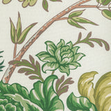 Brunschwig & Fils LUBERON PRINT GREEN/LEAF Fabric