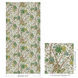 Brunschwig & Fils LUBERON PRINT GREEN/LEAF Fabric