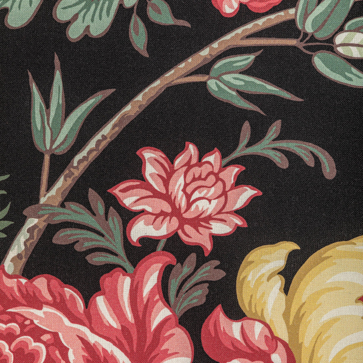 Brunschwig & Fils LUBERON PRINT NOIR/MULTI Fabric