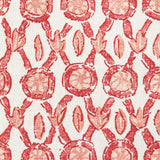 Brunschwig & Fils GALON PRINT CORAL Fabric