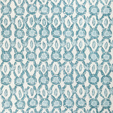 Brunschwig & Fils GALON PRINT AQUA Fabric