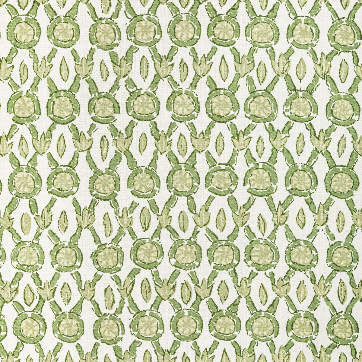 Brunschwig & Fils GALON PRINT LEAF Fabric
