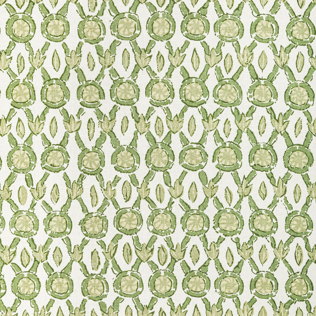 Brunschwig & Fils GALON PRINT LEAF Fabric