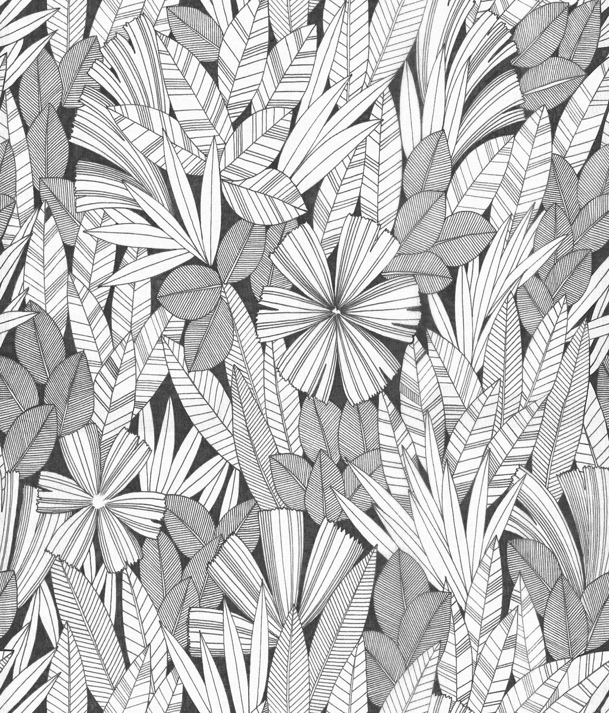 A-Street Prints Bannon Leaves Black Wallpaper