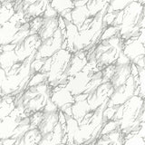 Zoffany French Marble Empire Grey/Perfect White Fabric