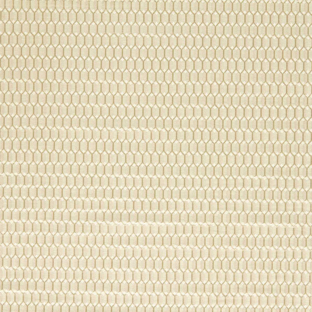 Zoffany Domino Trellis Paris Grey Fabric