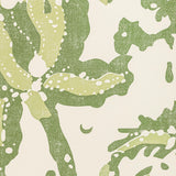 Brunschwig & Fils WEYMOUTH LEAF Wallpaper