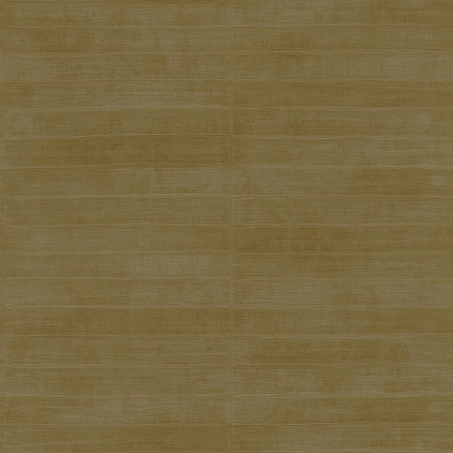 Brewster Home Fashions Dermot Brass Horizontal Stripe Wallpaper