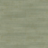 Brewster Home Fashions Dermot Light Green Horizontal Stripe Wallpaper