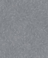 Brewster Home Fashions Agassiz Burst Grey Wallpaper