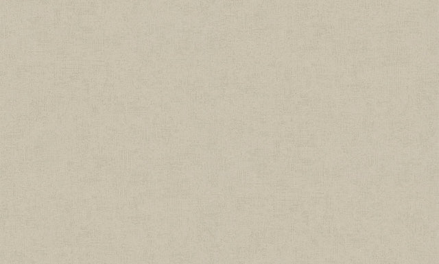 Brewster Home Fashions Steno Light Brown Plaster Wallpaper