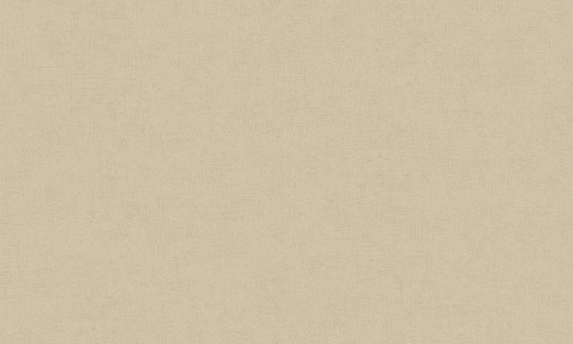 Brewster Home Fashions Steno Wheat Plaster Wallpaper