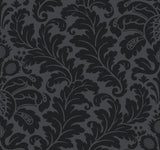 Candice Olson Modern Romance Black Wallpaper