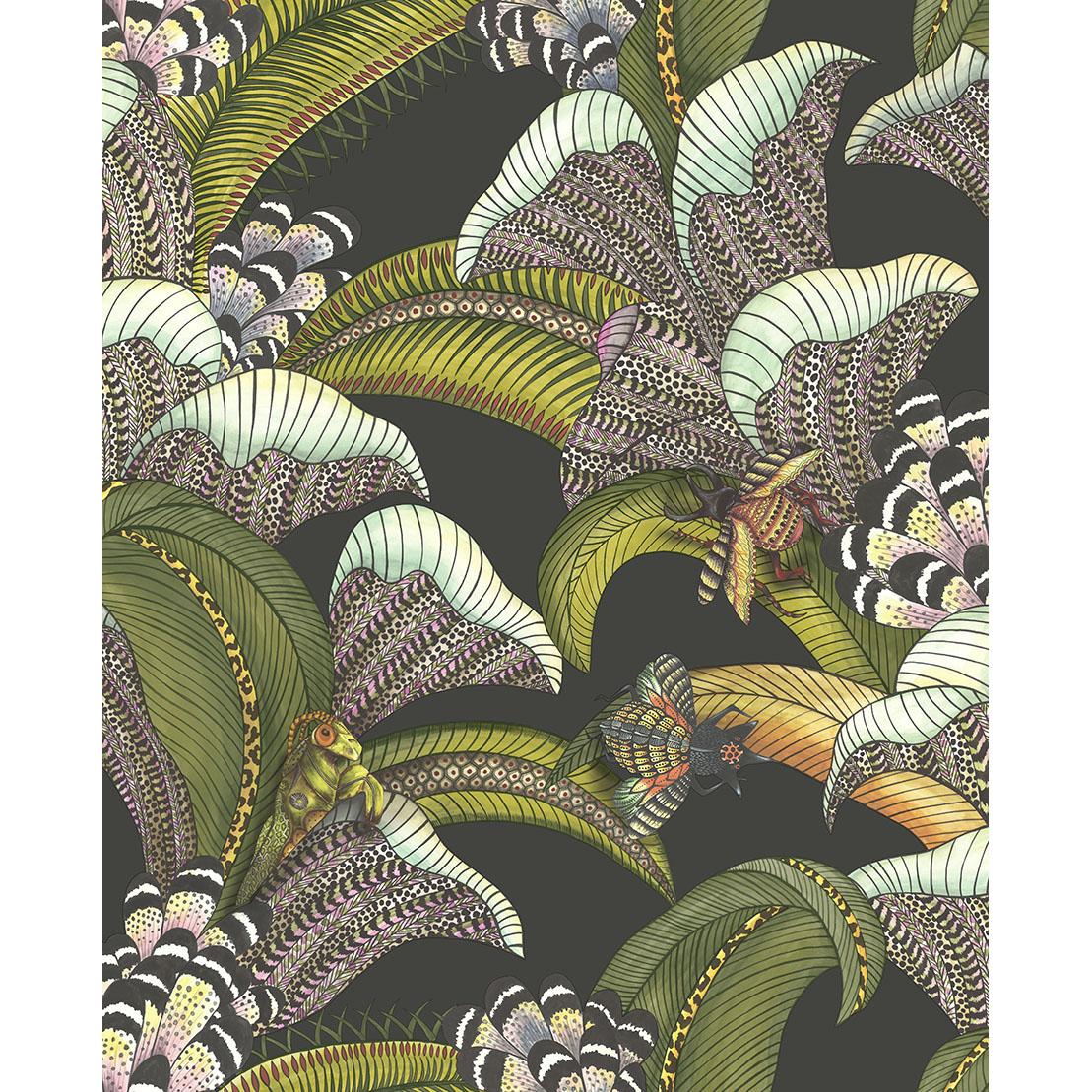 Cole & Son HOOPOE LEAVES OLIVE BLACK Wallpaper