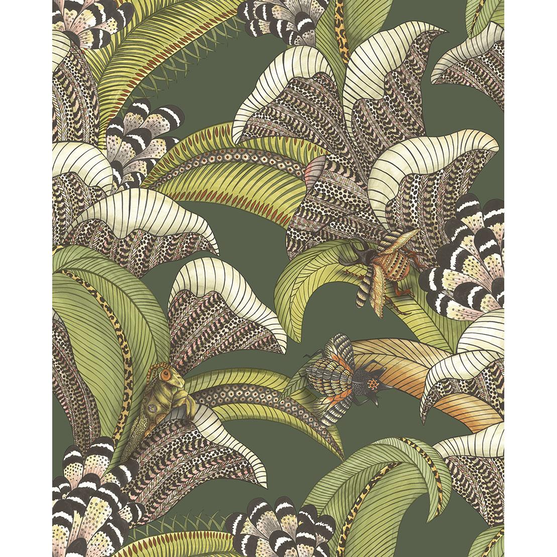 Cole & Son Hoopoe Leaves Spring Green And Coral Wallpaper