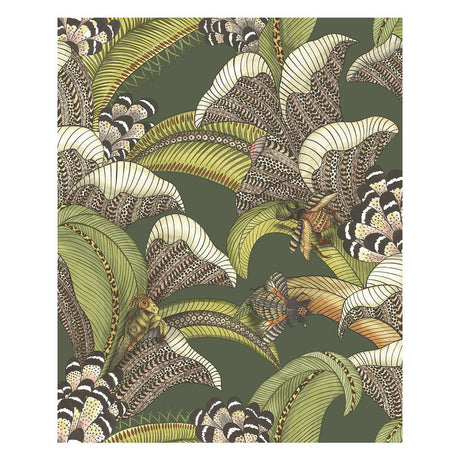 Cole & Son Hoopoe Leaves Spring Green And Coral Wallpaper