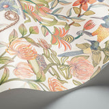 Cole & Son PROTEA GARDEN OGRN&TNGRN/WHT Wallpaper