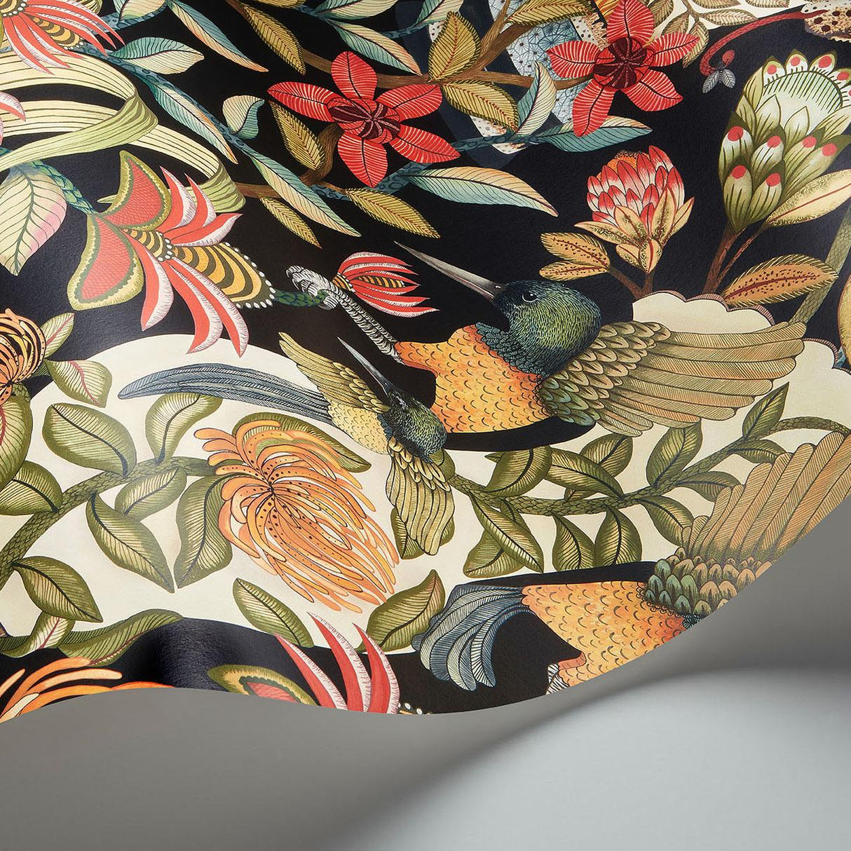 Cole & Son PROTEA GARDEN OLV&RG/BLCK Wallpaper