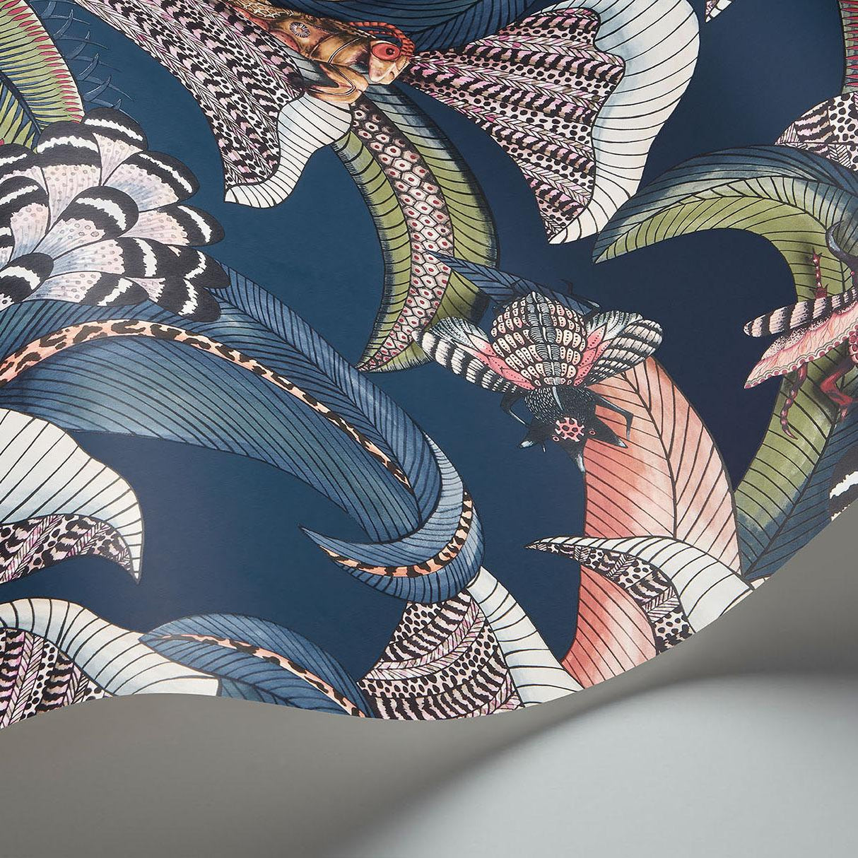 Cole & Son HOOPOE LEAVES MIDNIGHT Wallpaper