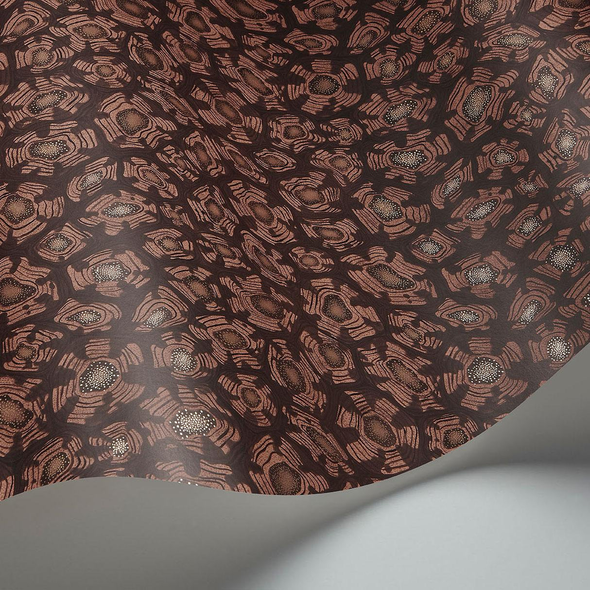 Cole & Son SAVANNA SHELL TERRACOTTA Wallpaper