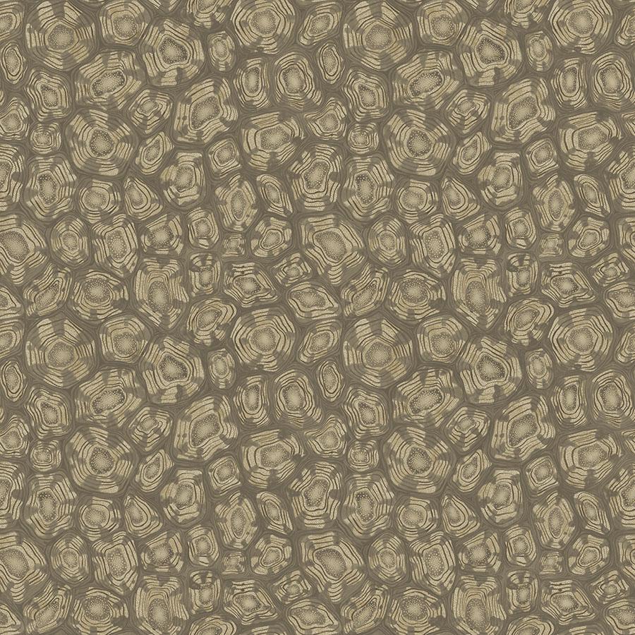 Cole & Son SAVANNA SHELL GILVER Wallpaper
