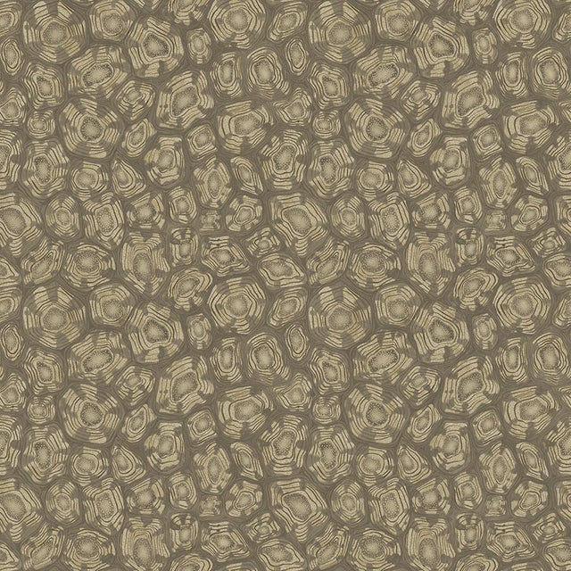 Cole & Son SAVANNA SHELL GILVER Wallpaper