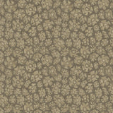 Cole & Son SAVANNA SHELL GILVER Wallpaper