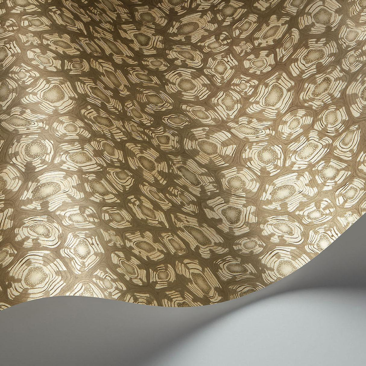 Cole & Son SAVANNA SHELL GILVER Wallpaper