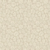 Cole & Son SAVANNA SHELL PARCHMENT Wallpaper