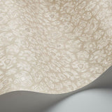 Cole & Son SAVANNA SHELL PARCHMENT Wallpaper