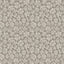 Cole & Son SAVANNA SHELL TAUPE Wallpaper
