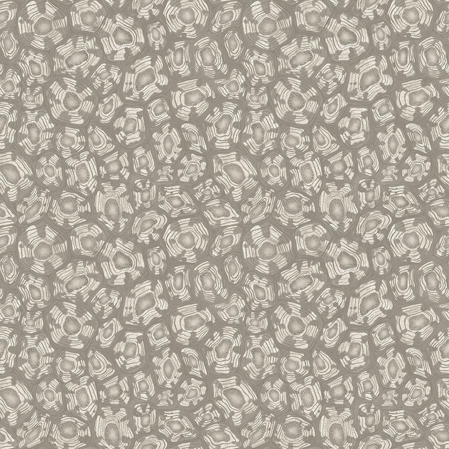 Cole & Son SAVANNA SHELL TAUPE Wallpaper