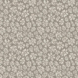 Cole & Son SAVANNA SHELL TAUPE Wallpaper