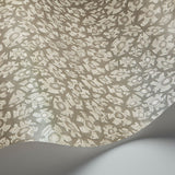 Cole & Son SAVANNA SHELL TAUPE Wallpaper