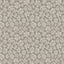 Cole & Son SAVANNA SHELL TAUPE Wallpaper