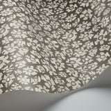 Cole & Son SAVANNA SHELL SOOT Wallpaper