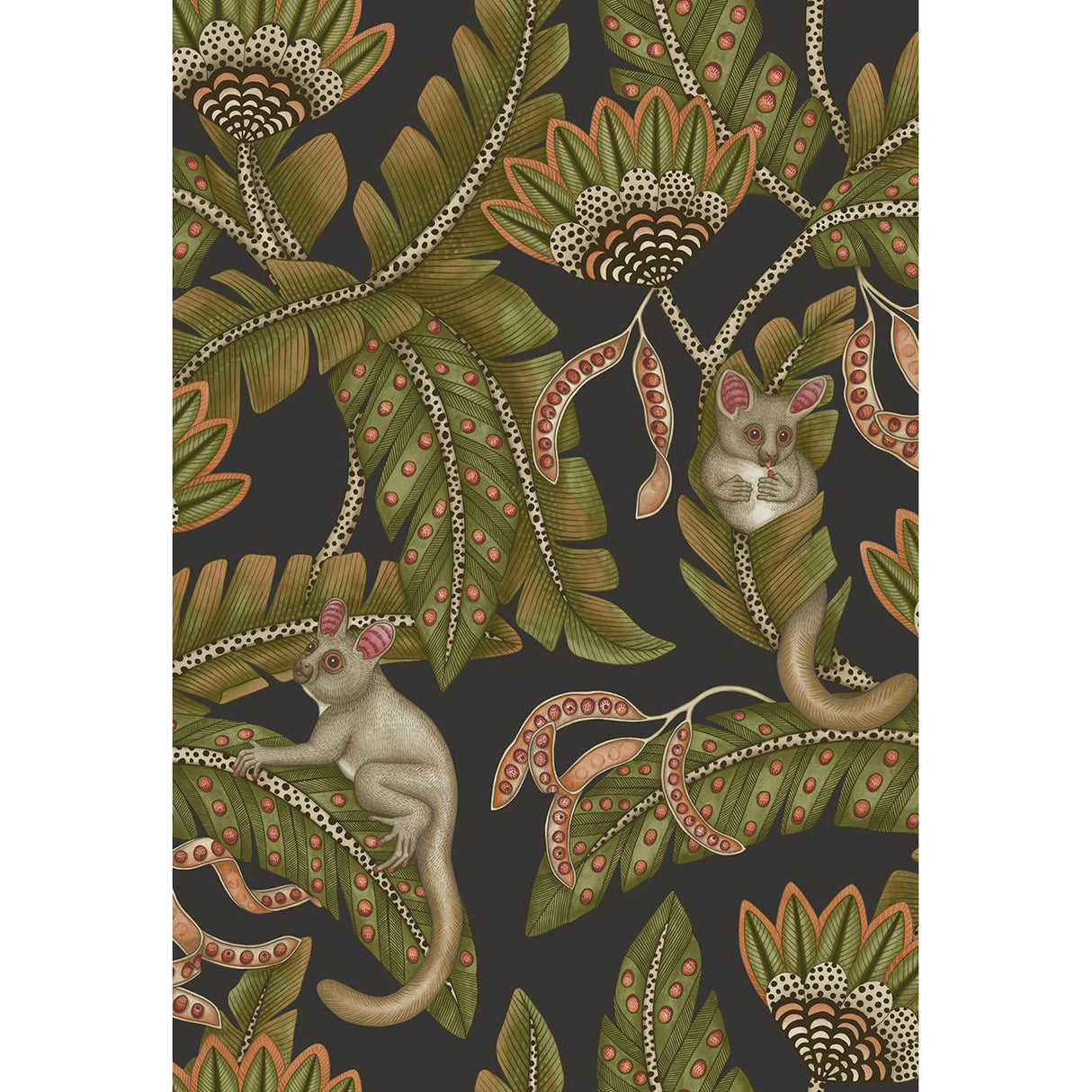 Cole & Son BUSH BABY SPGRN&ORNG/BLCK Wallpaper