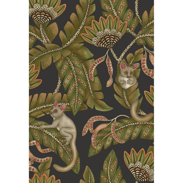 Cole & Son BUSH BABY SPGRN&ORNG/BLCK Wallpaper